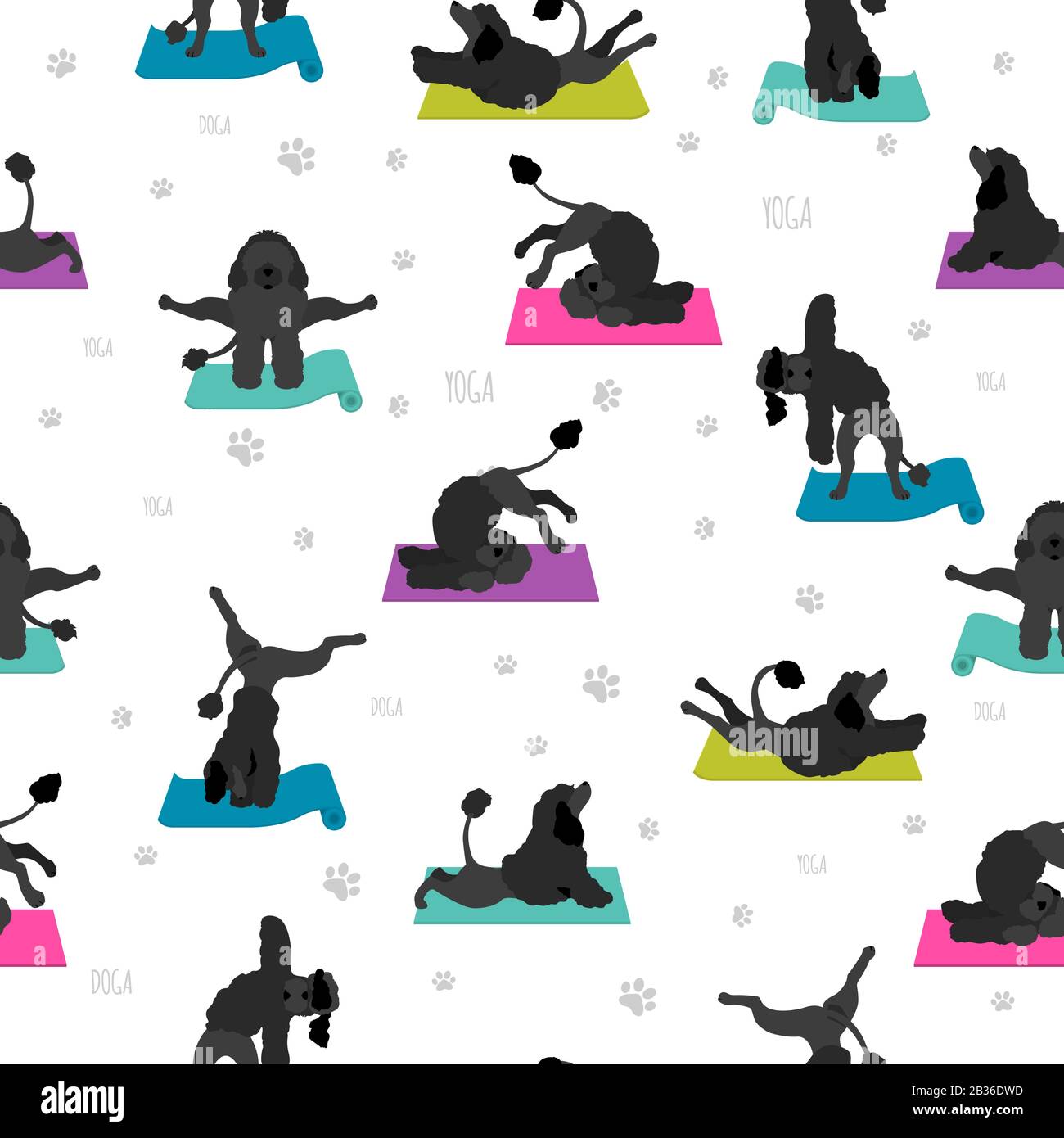 Yoga dogs poses and exercises poster design. Portuguese water dog