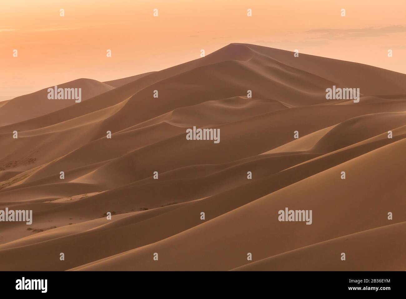 Mongolia, Omnogovi province, Khongor Sand Dunes, elevated view on the dunes at sunset Stock Photo