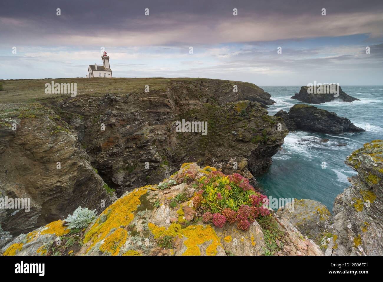 France, Morbihan, Belle-Ile-en-mer, Sauzon, Pointe des Poulains Stock ...