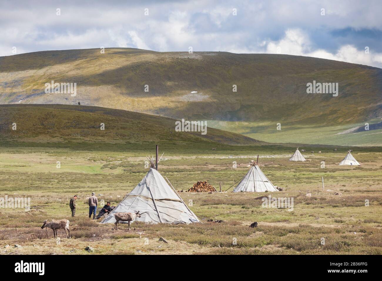 Mongolia, Khovsgol province, near Tsagaannuur, West Taiga, Tsaatan camp and reindeers, altitude 2203 meters Stock Photo