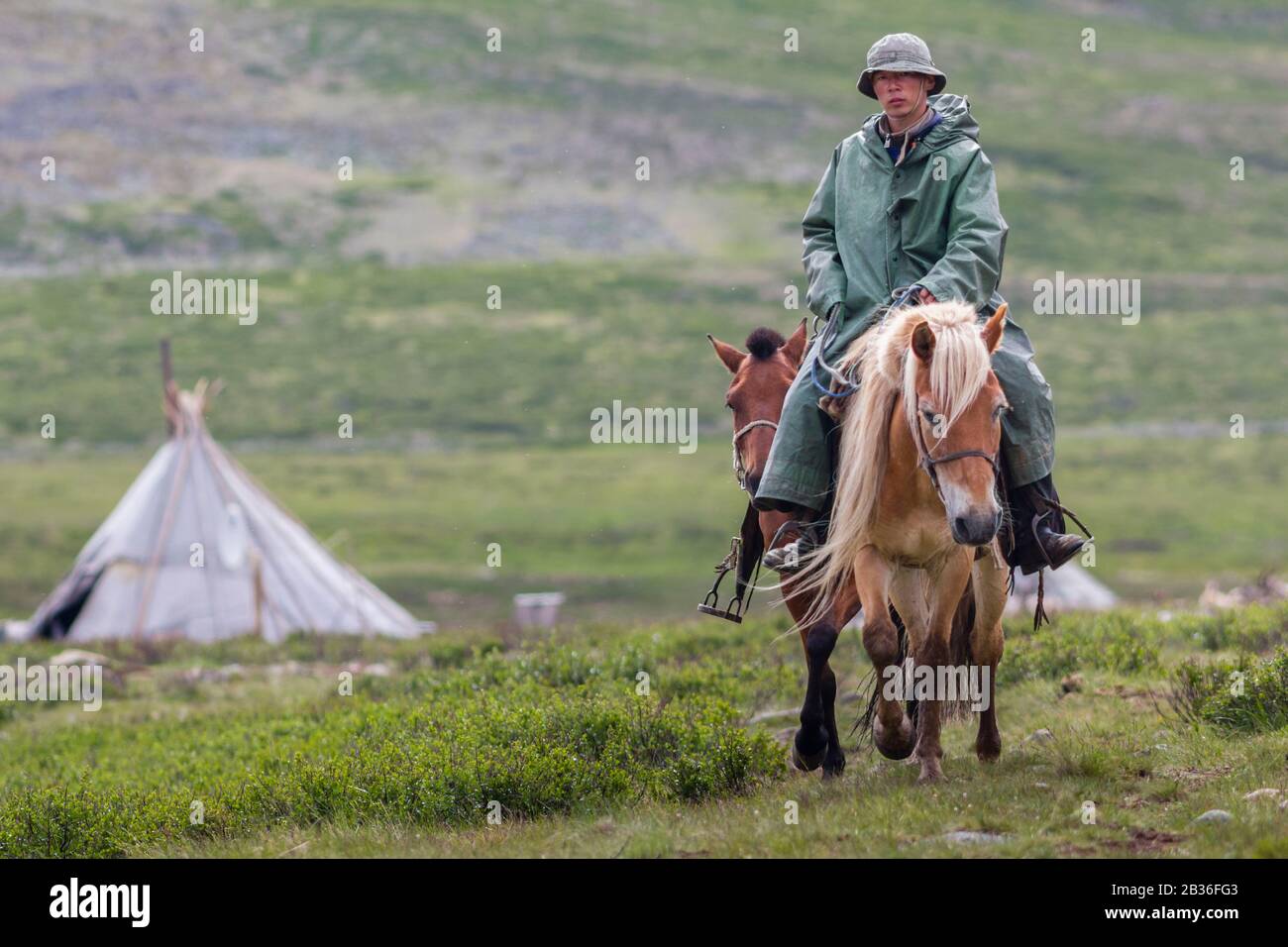 Mongolia, Khovsgol province, near Tsagaannuur, West Taiga, Tsaatan guide riding a horse and traditionnal tent in the backgound, altitude 2210 meters, horse trekking and camping to meet the Tsaatan people Stock Photo