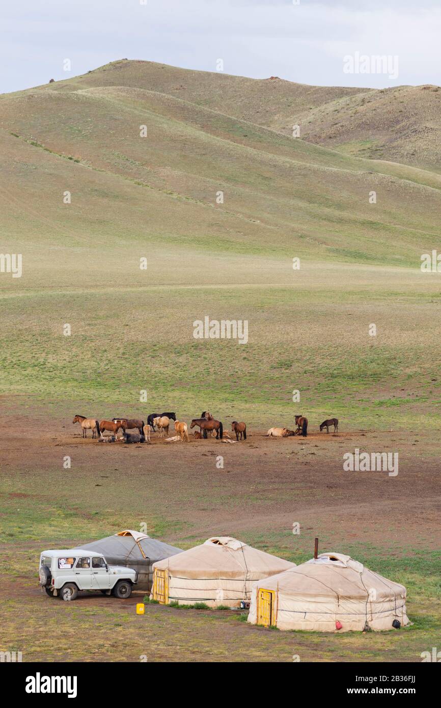 Mongolia, Omnogovi province, near Dalanzadgad, elevated view of a Russian jeep UAZ 469, yurt camp and herd of horses in the steppe Stock Photo