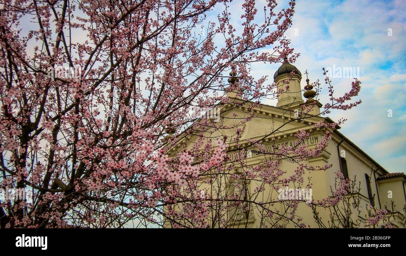 Costa di Rovigo Square 2 Stock Photo Alamy