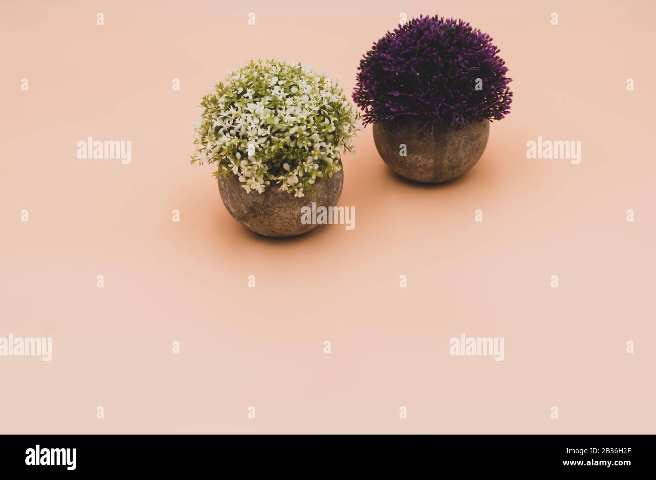 artificial potted plants on a beige background nature concept Stock Photo Alamy