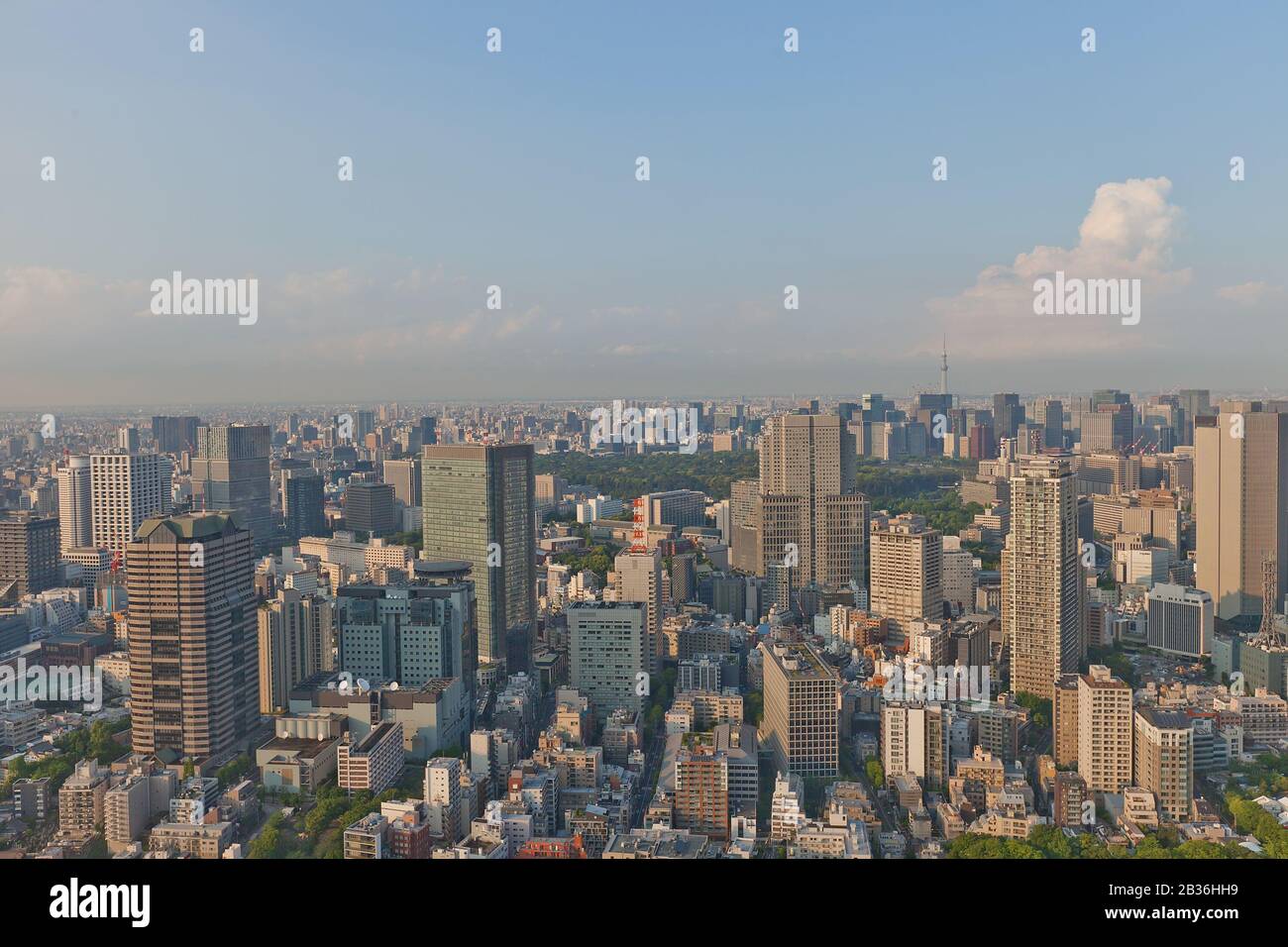 Bird view of Akasaka district from Ritz Carlton Hotel tower. Akasaka is a residential and commercial district of Minato, Tokyo, Japan Stock Photo