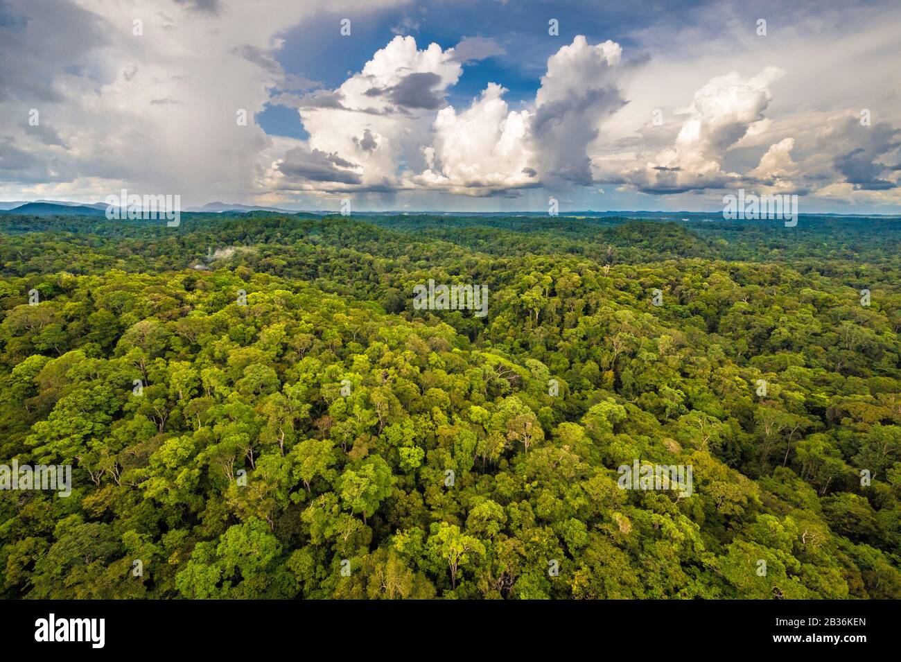 France, French Guiana, unexplored area on the border between the heart