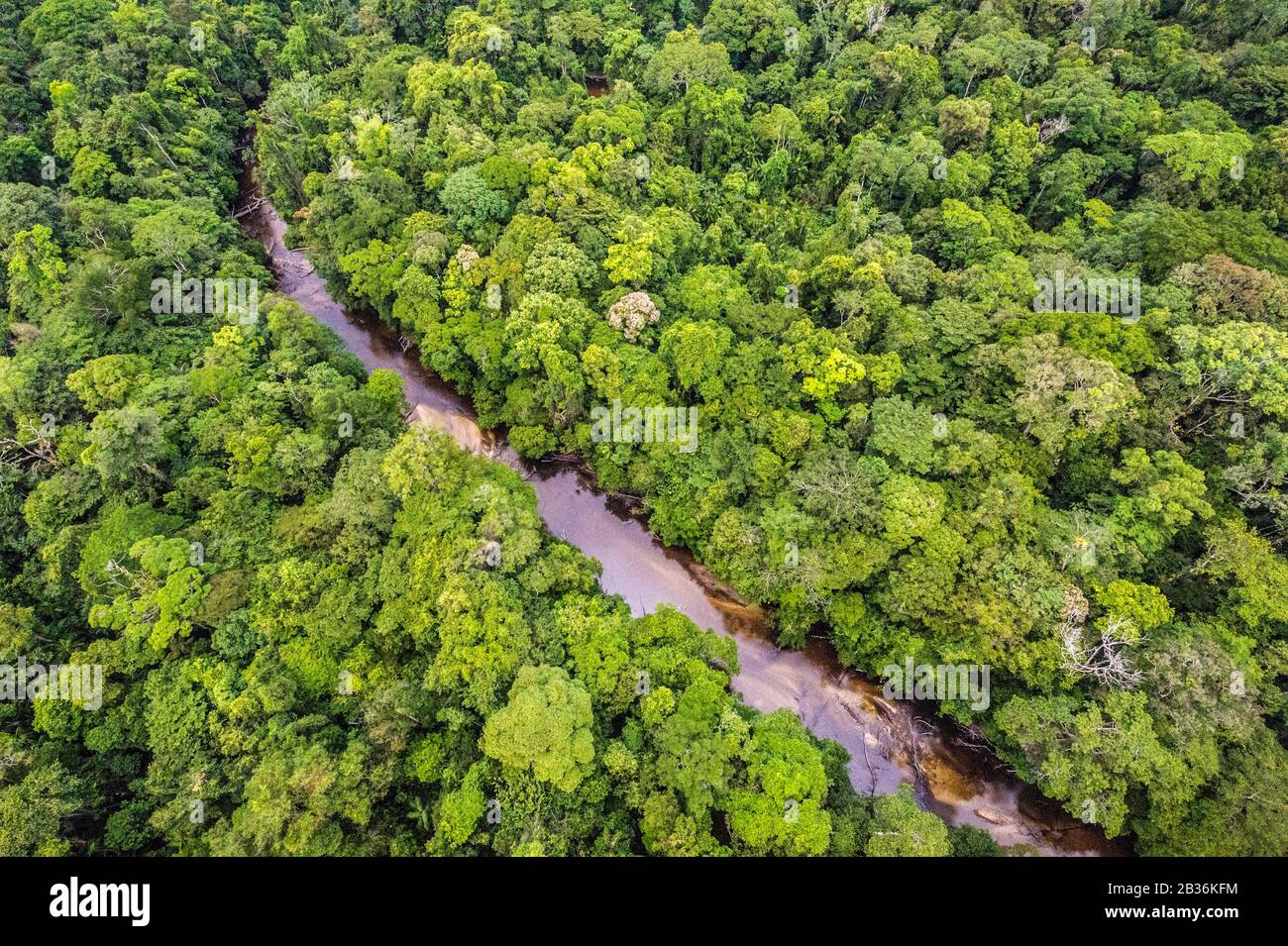 France, French Guiana, unexplored area on the border between the heart