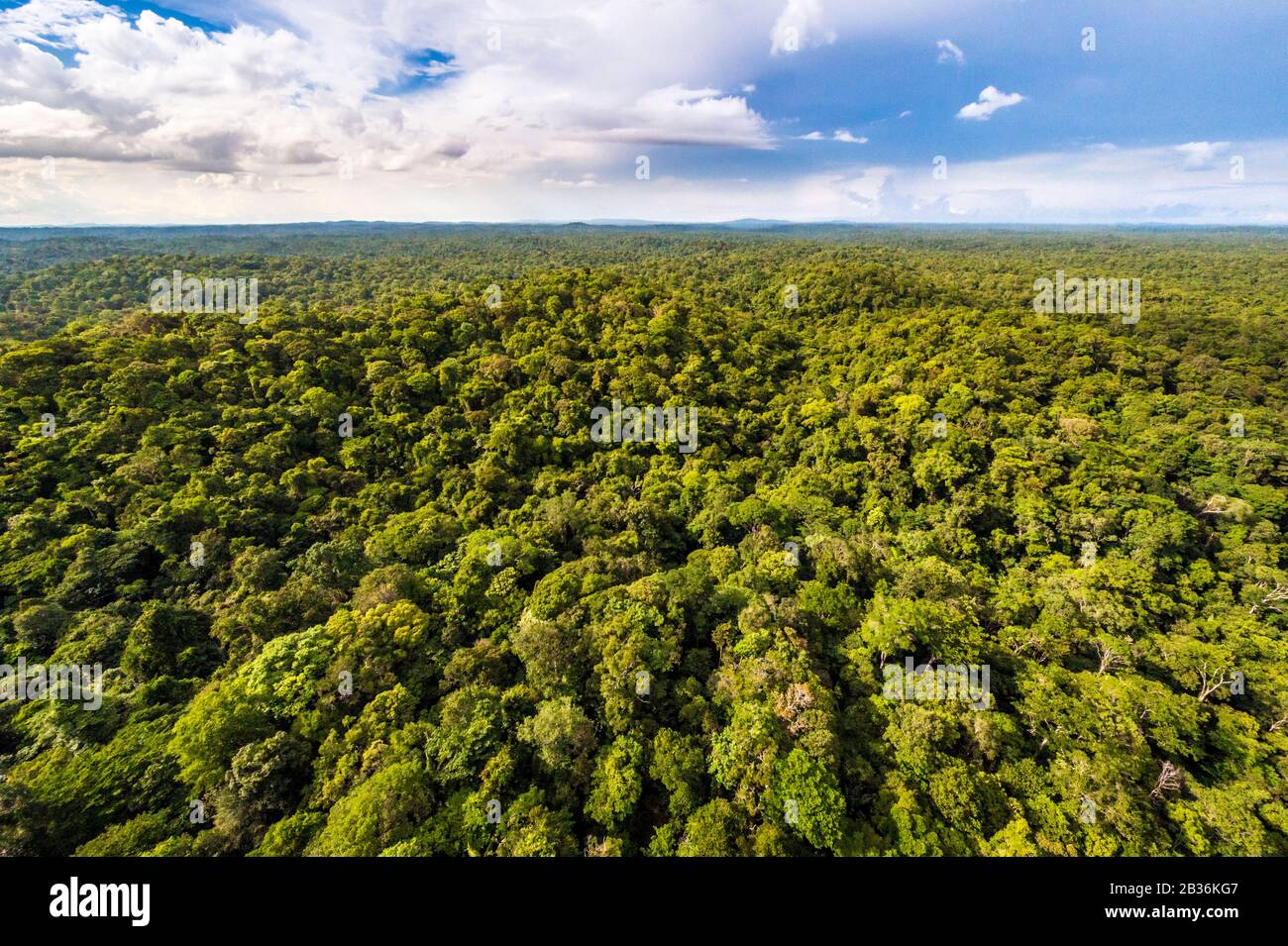 France, French Guiana, unexplored area on the border between the heart of the Amazonian Park of French Guiana and the Trinidad National Nature Reserve, end of the dry season, scientific multidisciplinary inventory mission Haut Koursibo, aerial view of the Amazon rainforest Stock Photo