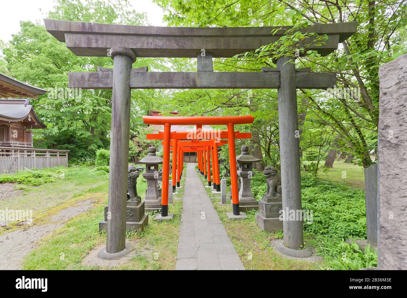 Corridor of red torii gates in Hachiman Akita Shinto Shrine in Akita, Japan. Located on the grounds of former main bailey of Kubota castle Stock Photo
