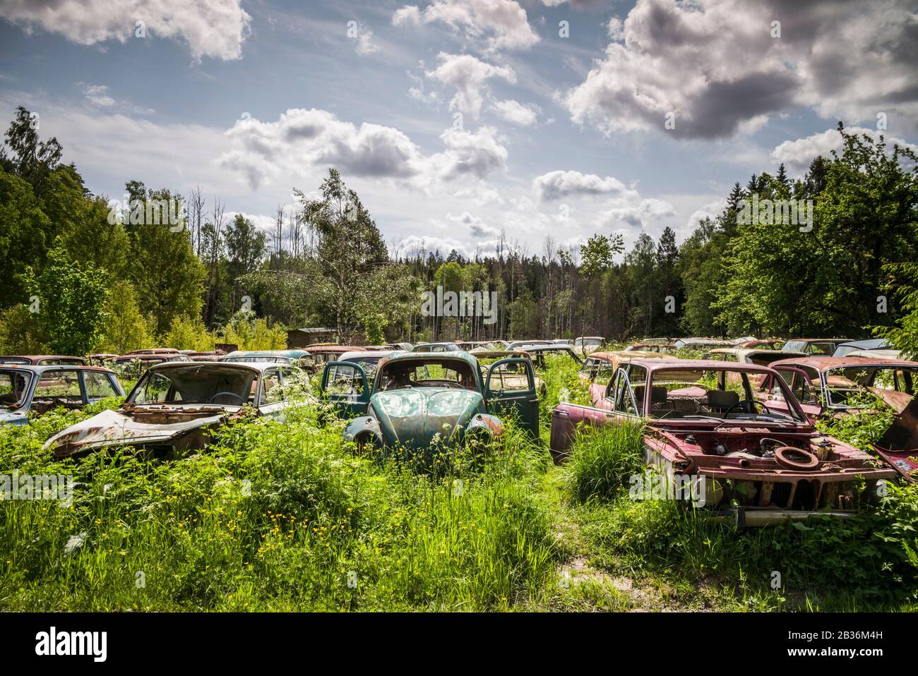 Sweden, Varmland, Bastnas, Bastnas Car Cemetery public park, antique car junkyard Stock Photo