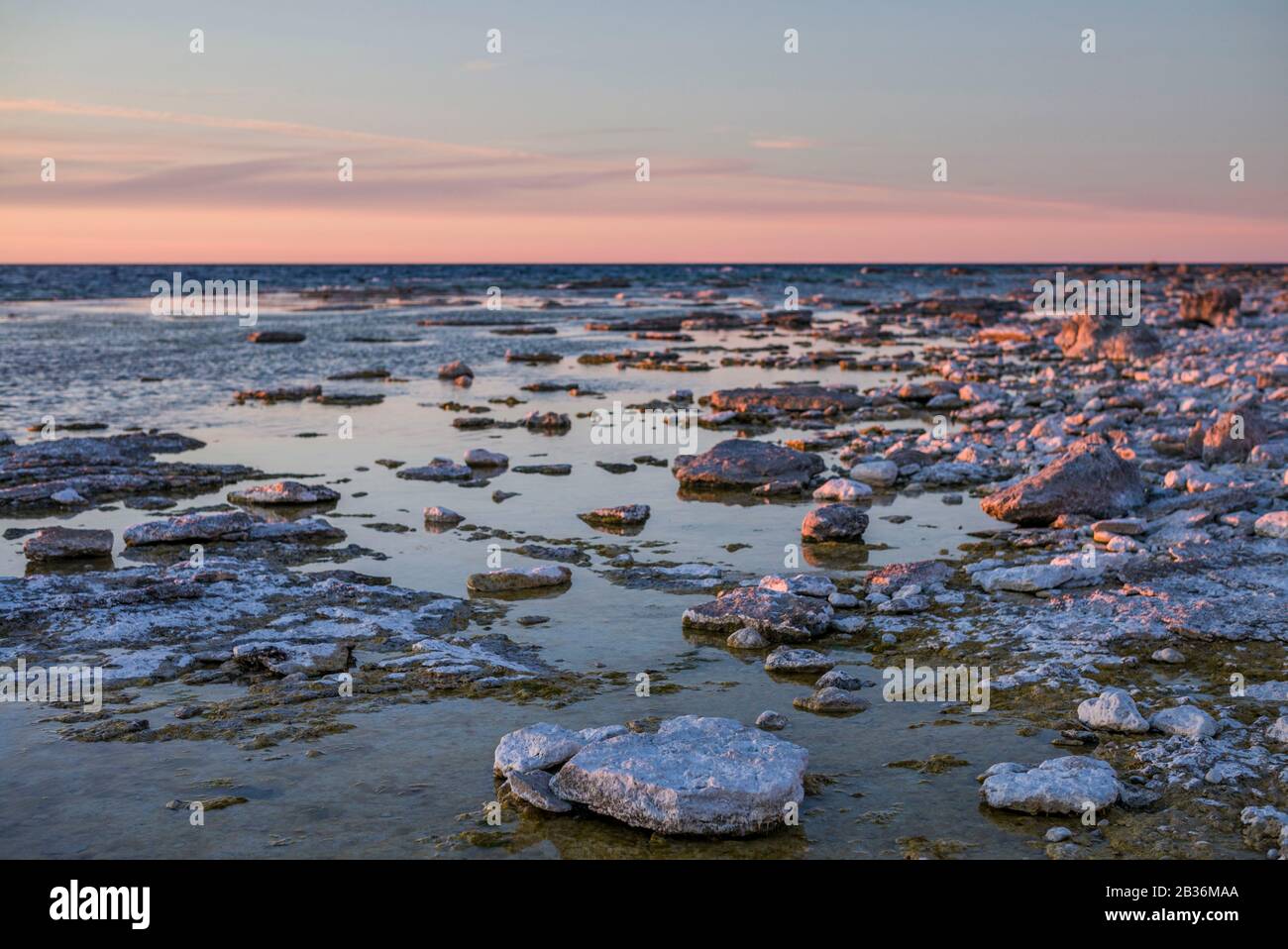 Sweden, Faro Island, Langhammars Area, coastal view, sunset Stock Photo