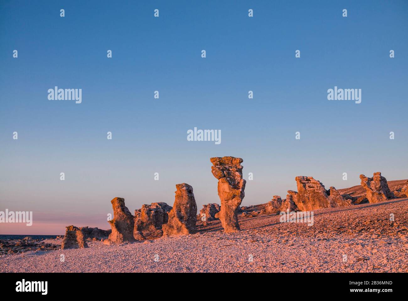 Sweden, Faro Island, Langhammars Area, Langhammar coastal limestone raukar rock, sunset Stock Photo