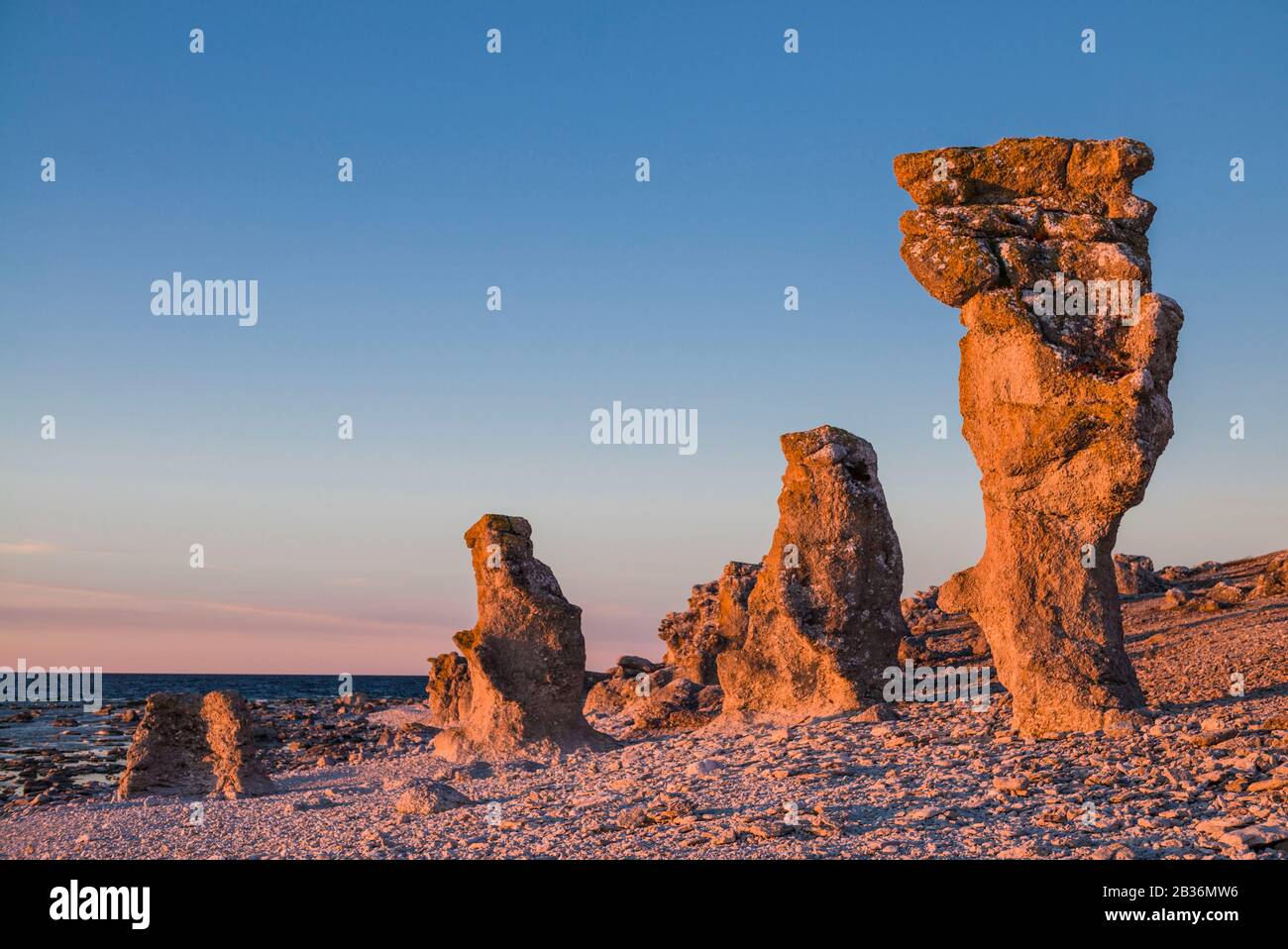 Sweden, Faro Island, Langhammars Area, Langhammar coastal limestone raukar rock, sunset Stock Photo