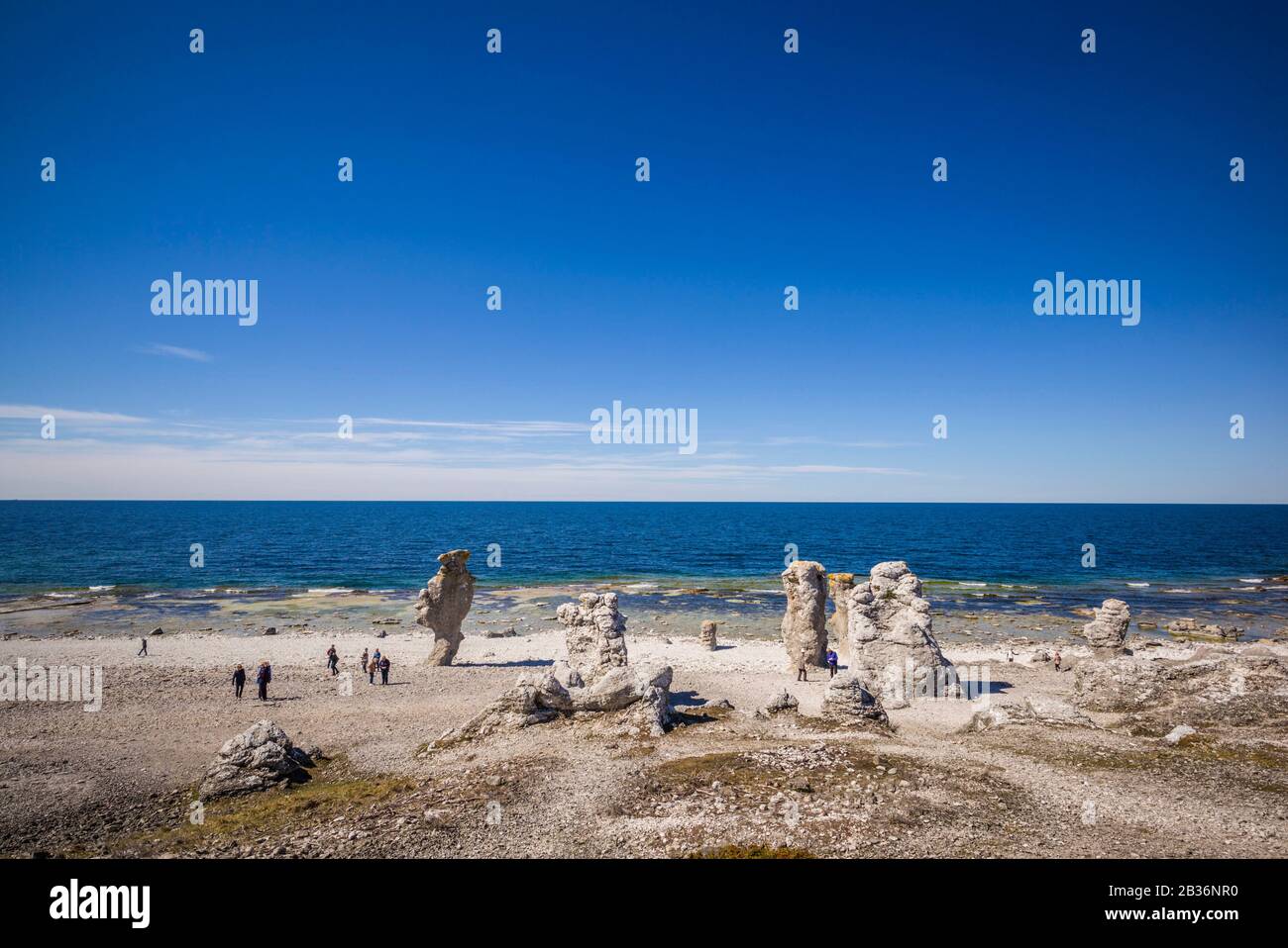 Sweden, Faro Island, Langhammars Area, Langhammar coastal limestone raukar rocks with visitors Stock Photo