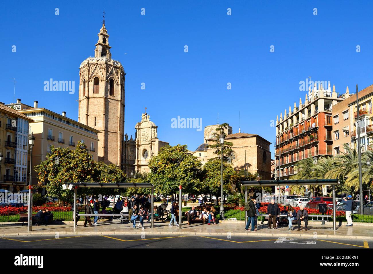 Valencia cathedral orange tree hi-res stock photography and images - Alamy