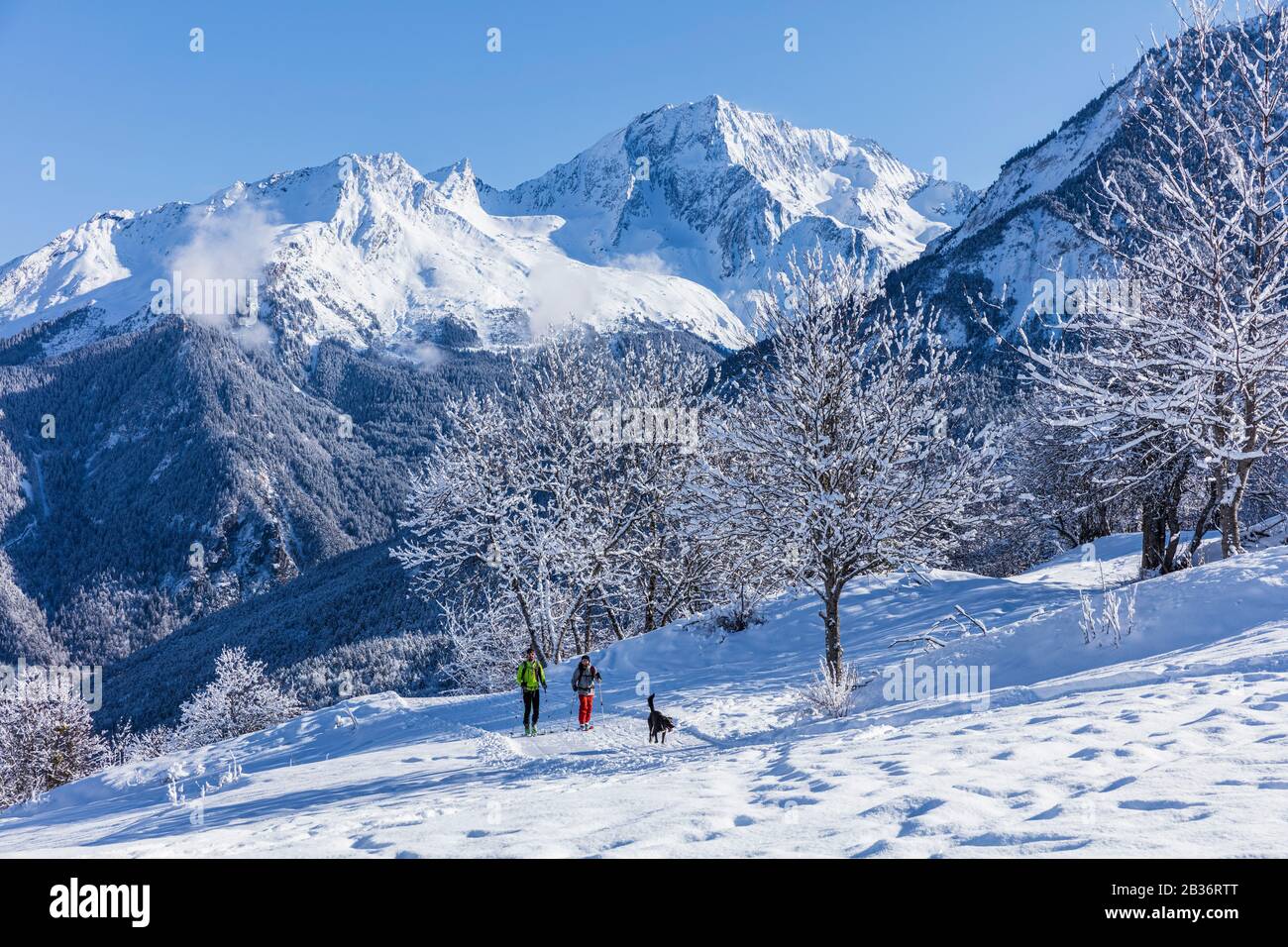 France, Savoie, Courchevel, Saint-Bon-Tarentaise, the Praz with a view of Le Grand Bec (3398 m) and Dent du Villard (2284 m), massif of Vanoise, Tarentaise Valley Stock Photo