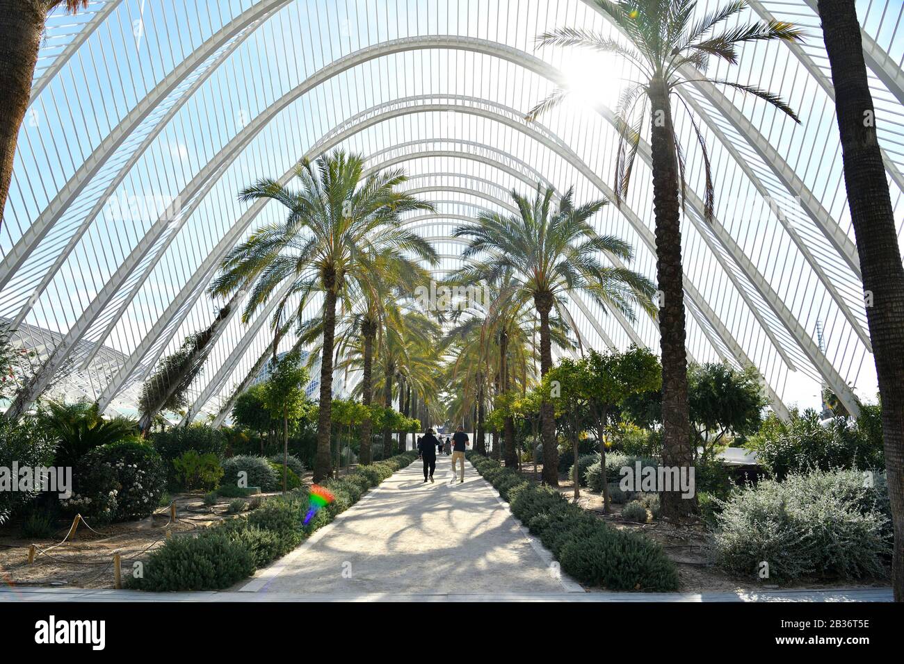 Spain, Valencia, City of Sciences and Arts by architect Santiago ...