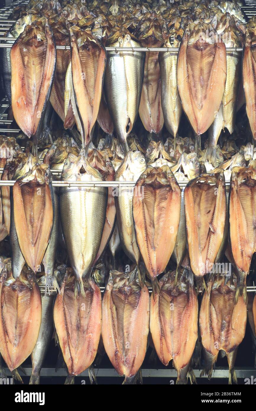 Red herring hires stock photography and images Alamy