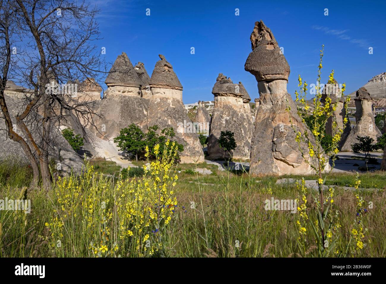 Turkey, Cappadocia, Pasabagi, Monks valley Stock Photo