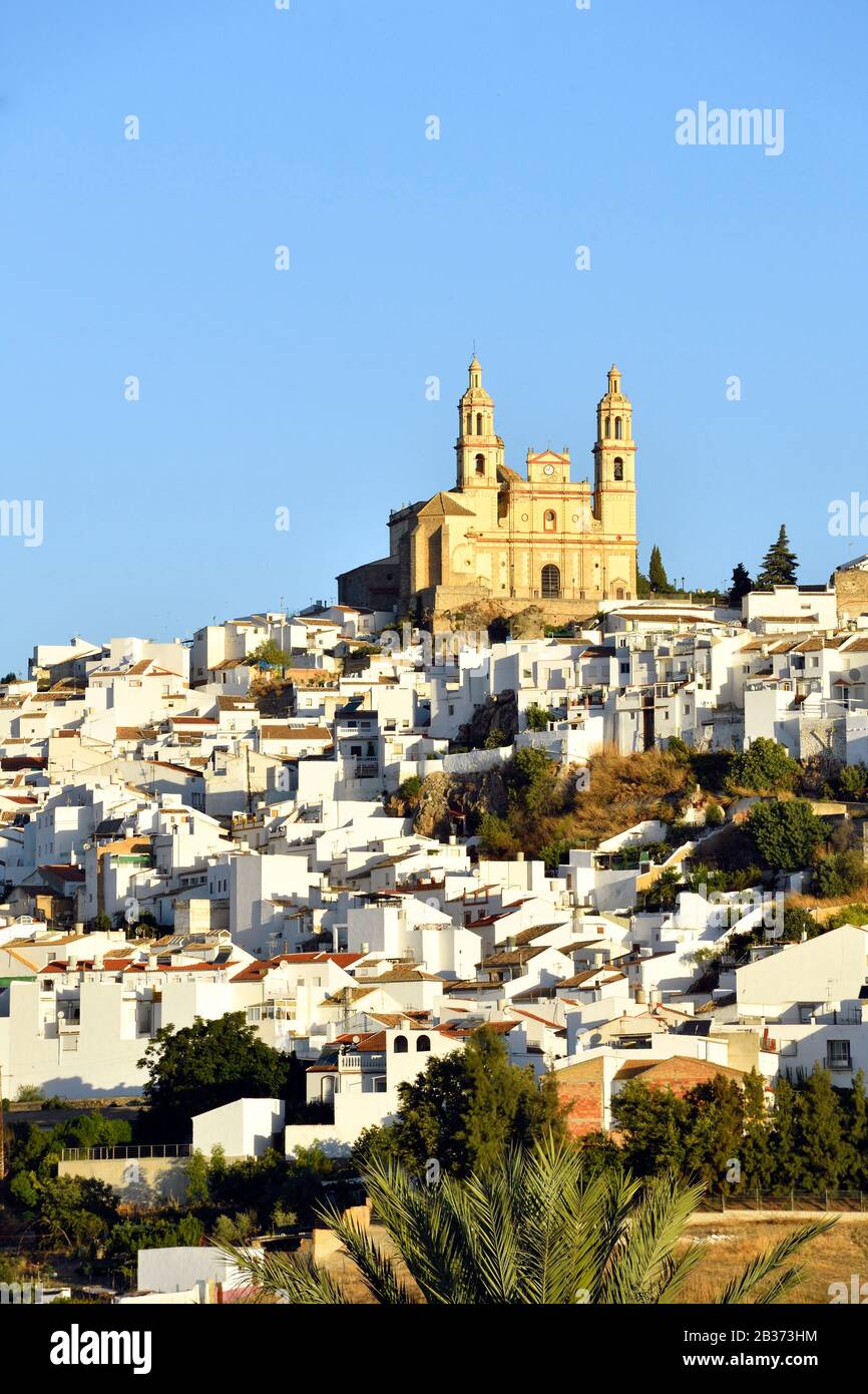 Spain, Andalucia, Cadiz province, white village of Olvera, the Church of Our Lady of the Incarnation Stock Photo