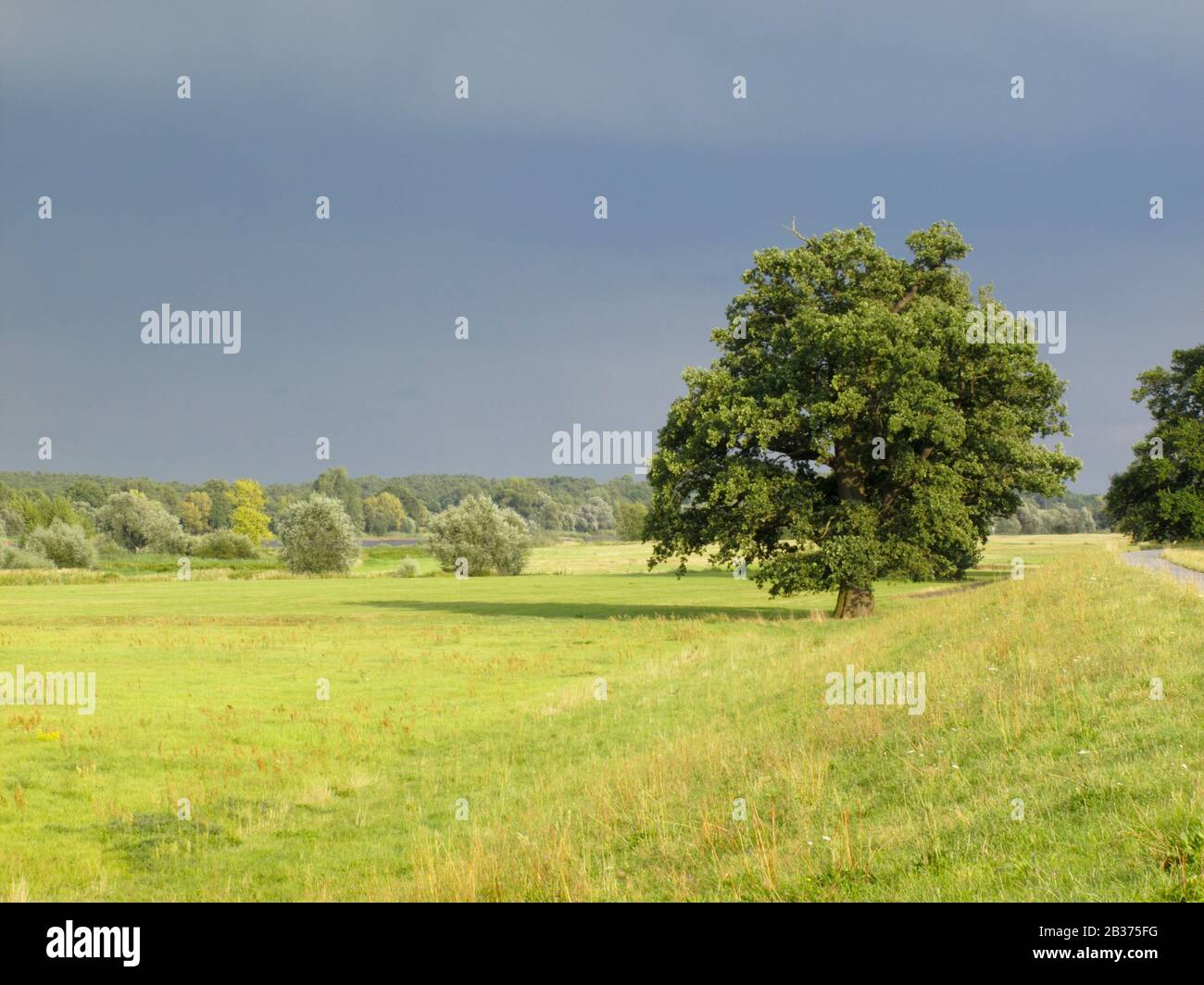 Landschaft bei Hitzacker vom Weinberg, Elbtalaue, Wendland Stock Photo