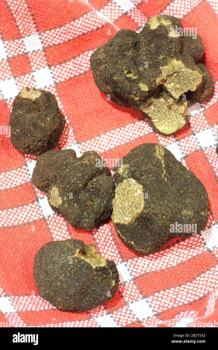 Marché aux truffes hires stock photography and images Alamy