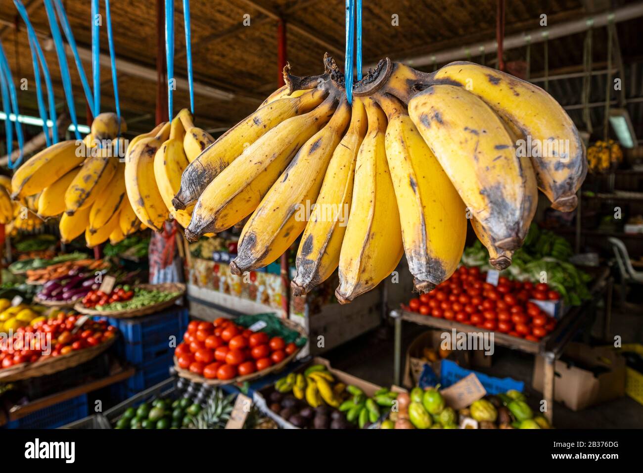Mauritius, Rivière du Rempart district, Goodlands, fruit and vegetable