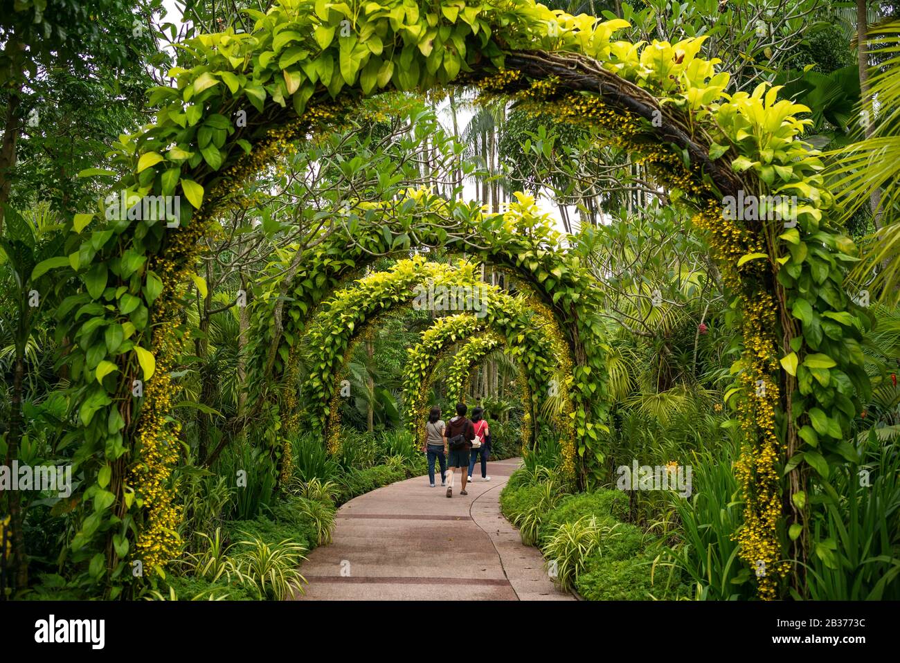 Singapore, Tanglin, Botanic Gardens, orchid garden Stock Photo - Alamy
