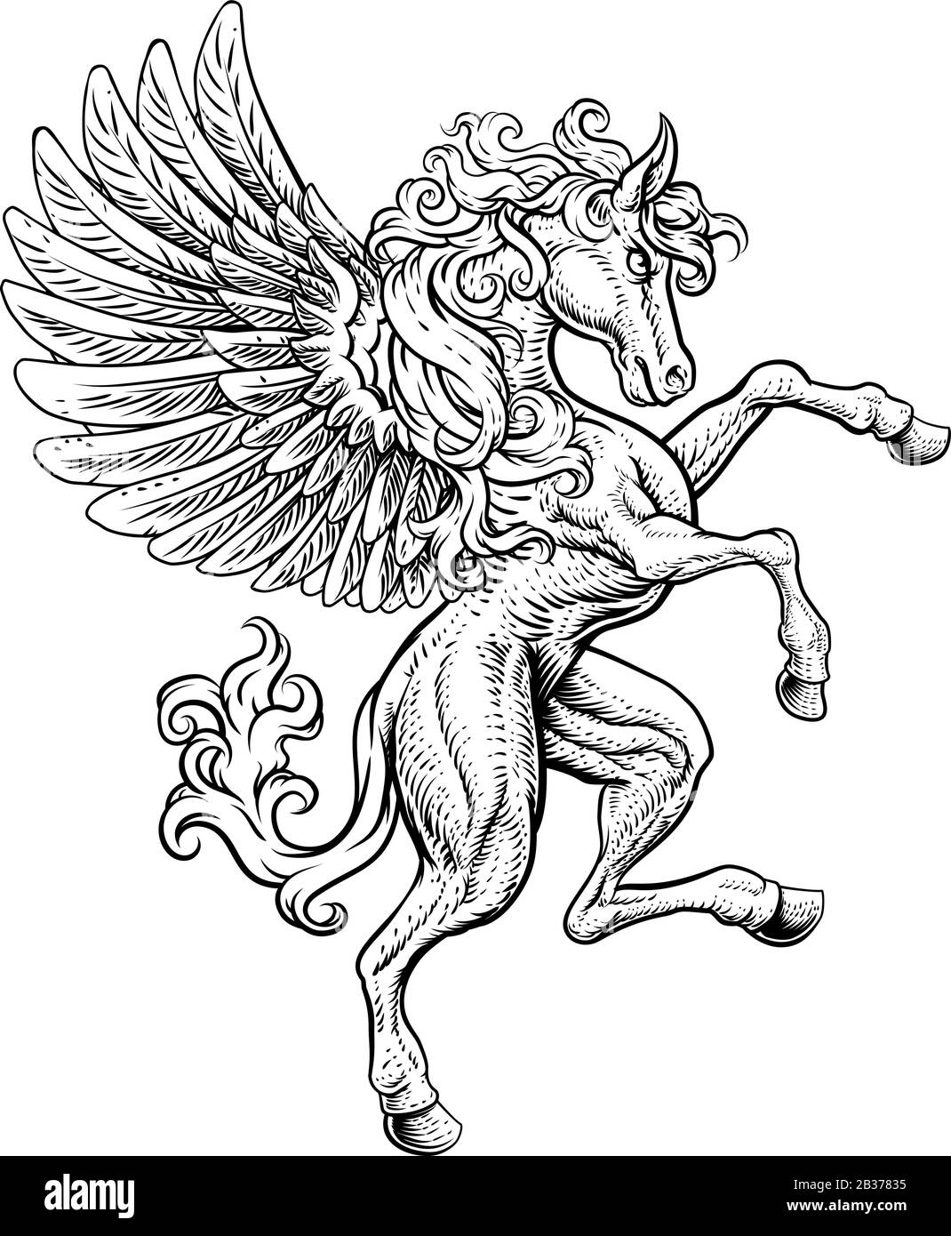 Pegasus Rearing Rampant Wings Coat Of Arms Horse Stock Vector