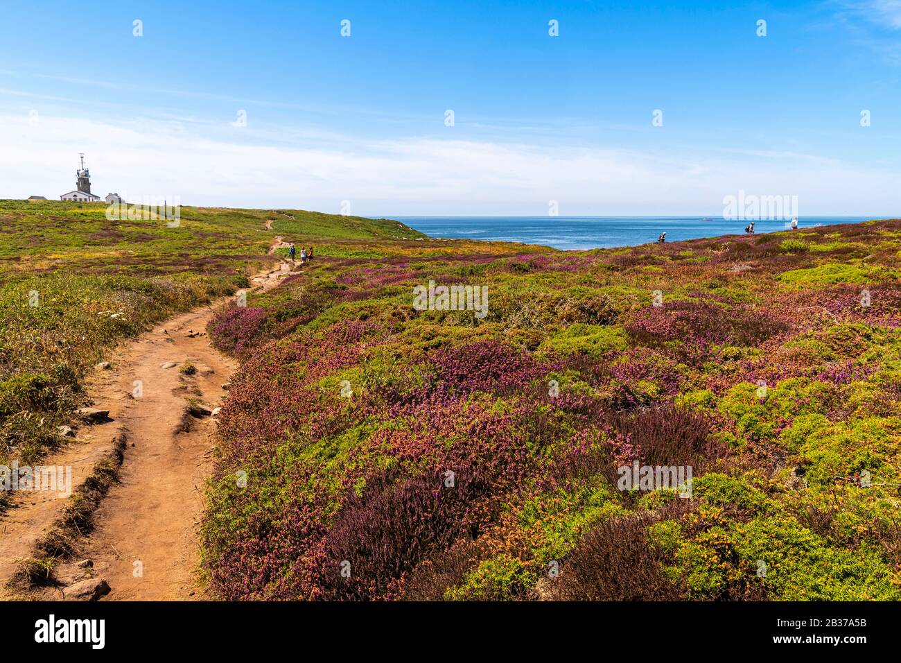 France, Finistère (29), Cornouaille, Plogoff, Pointe du Raz, rocky promontory constituting the most advanced part towards the west of Cape Sizun, facing the Iroise Sea Stock Photo