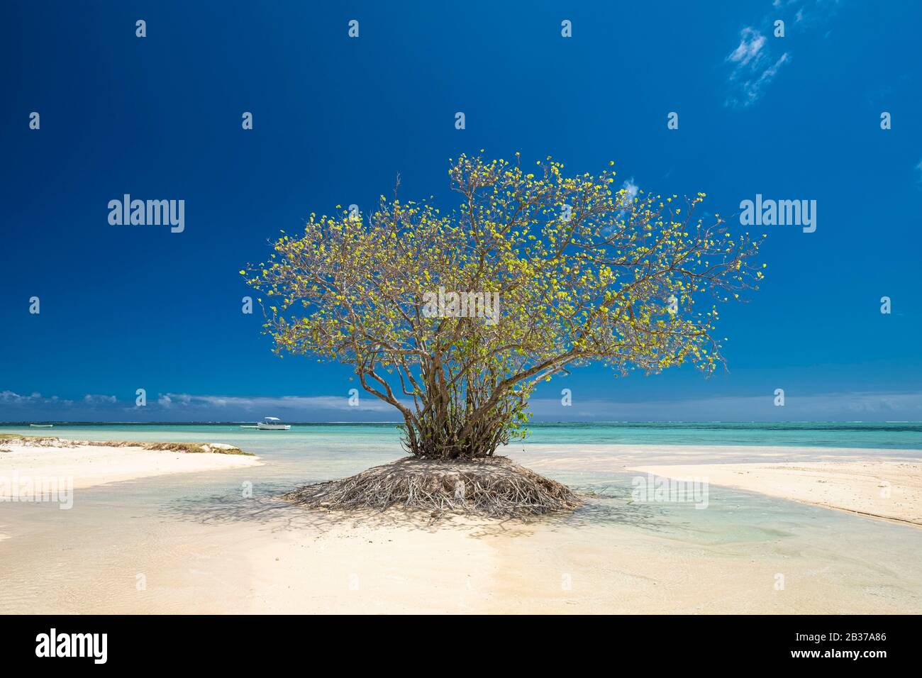 Mauritius, Riviere Noire district, Prairie beach Stock Photo Alamy