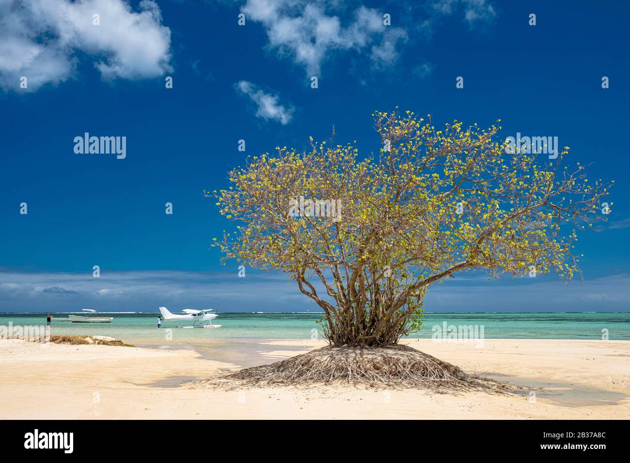 Mauritius, Riviere Noire district, Prairie beach, flying in a seaplane