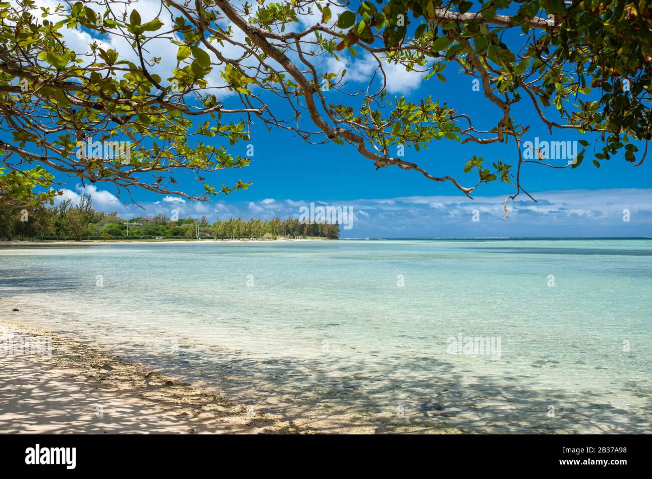 Mauritius, Riviere Noire district, Prairie beach Stock Photo Alamy