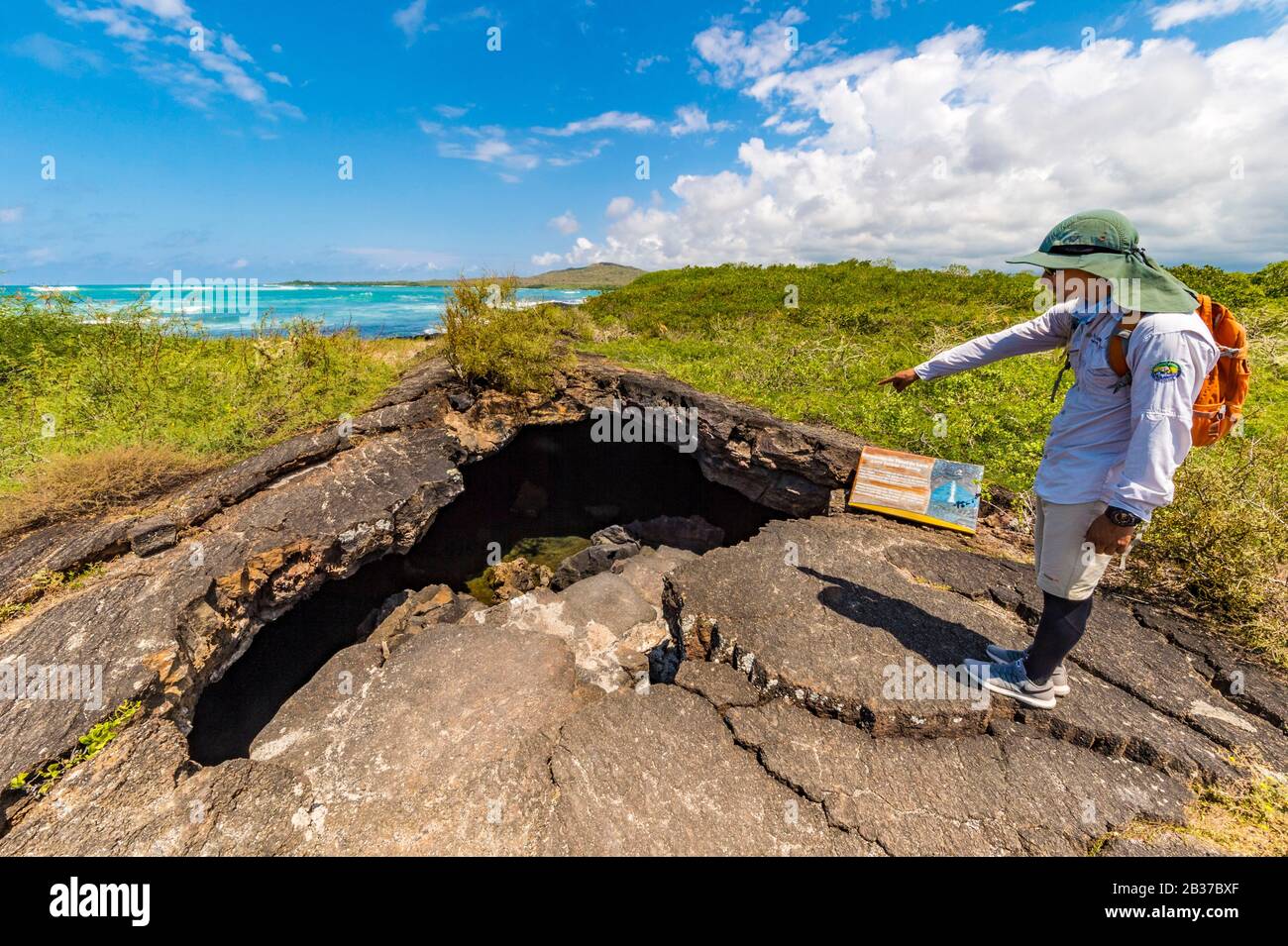 Ecuador, Galápagos archipelago, listed as World Heritage by UNESCO, Isabela Island (Albemarie), Wetland complex and Wall of Tears, hike on the volcanic coast towards a lava tunnel on the edge of the mangrove Stock Photo