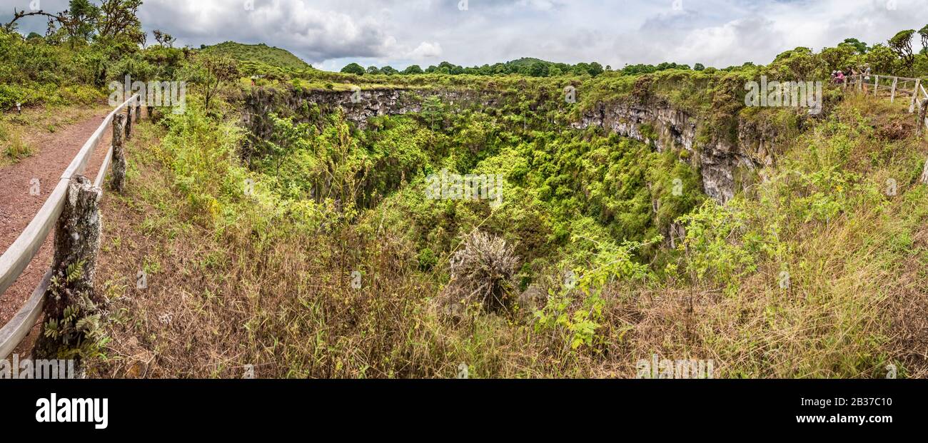Ecuador, Galapagos archipelago, classified as World Heritage by UNESCO, Santa Cruz Island, twin craters (Los Gemelos) Stock Photo
