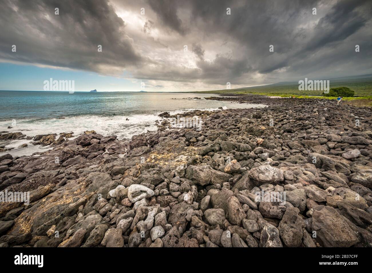Ecuador, Galapagos archipelago, classified as World Heritage by UNESCO, Lobos Island, exploration trail between coastline and nests of Fregata magnificens Stock Photo