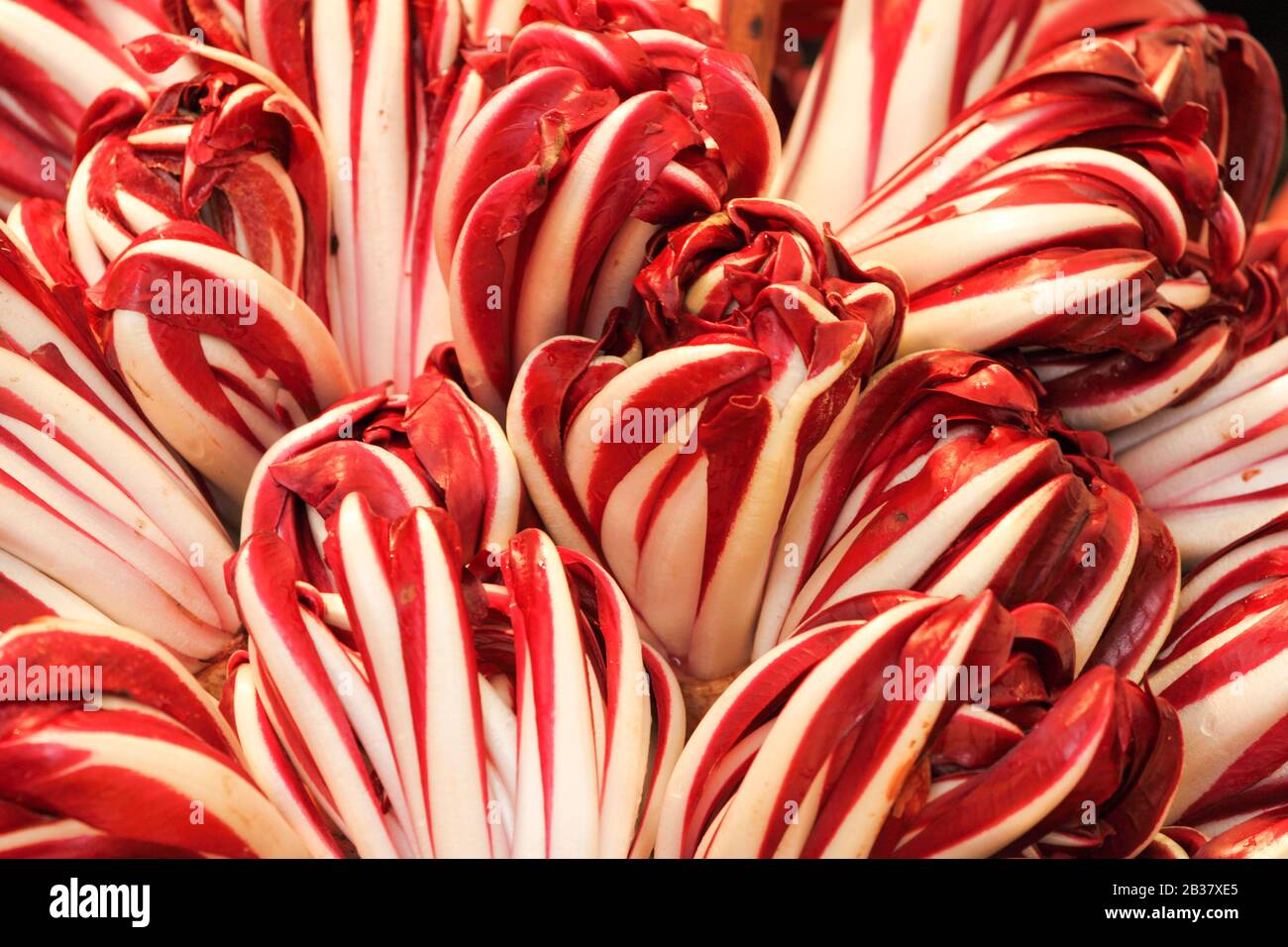 Mercati di Rialto (Rialto Market), Venice, Veneto, Italy. Stock Photo