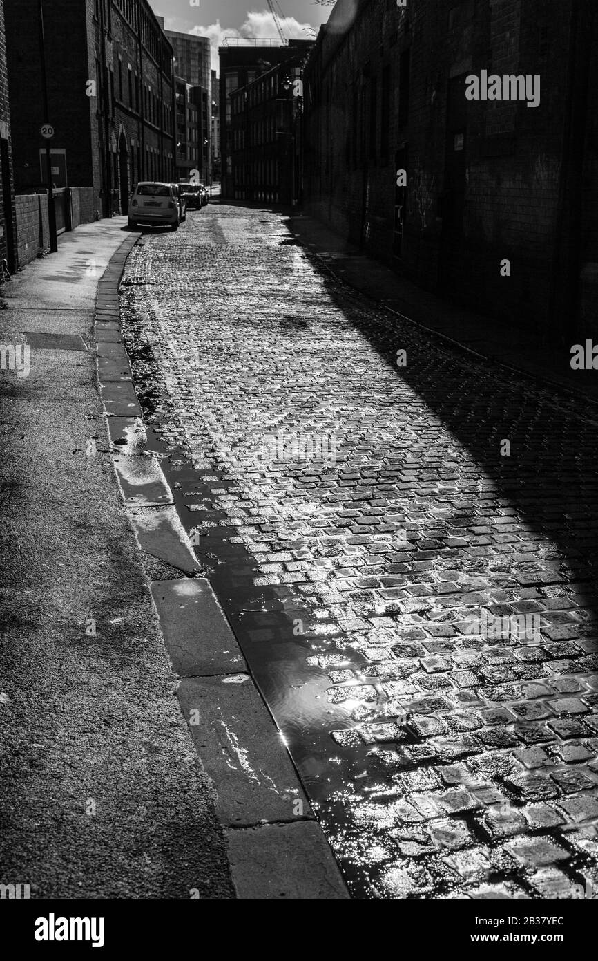 Wet cobble road and shadows. Stock Photo