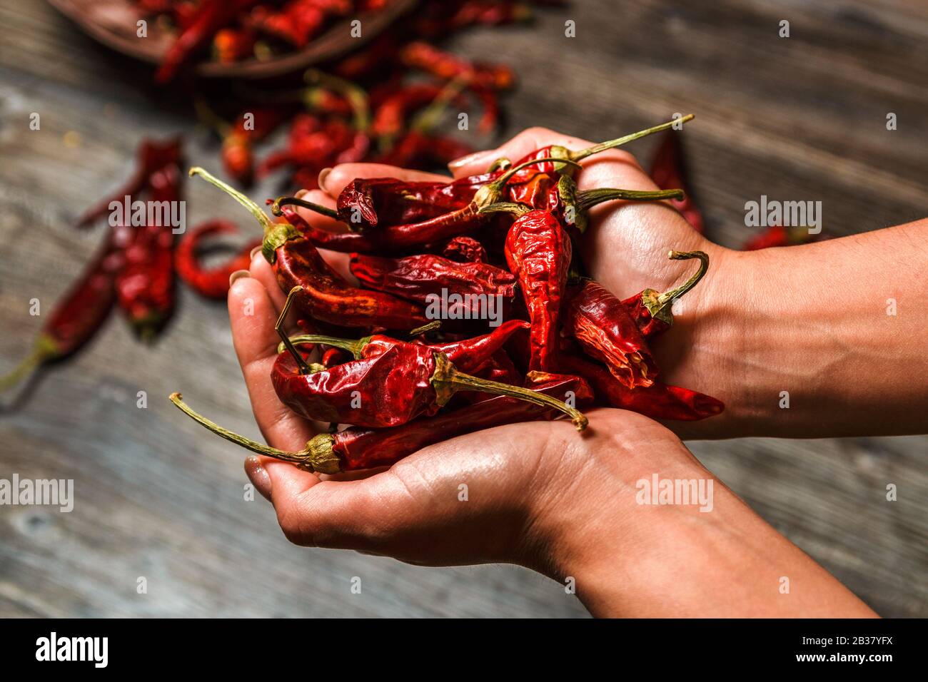 Red Chilli Tree High Resolution Stock Photography and Images - Alamy