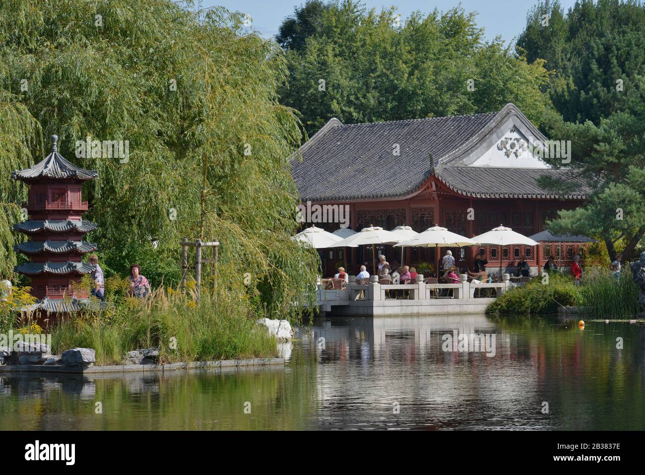 Chinesischer Garten, IGA, Marzahn, Berlin, Deutschland Stock Photo Alamy