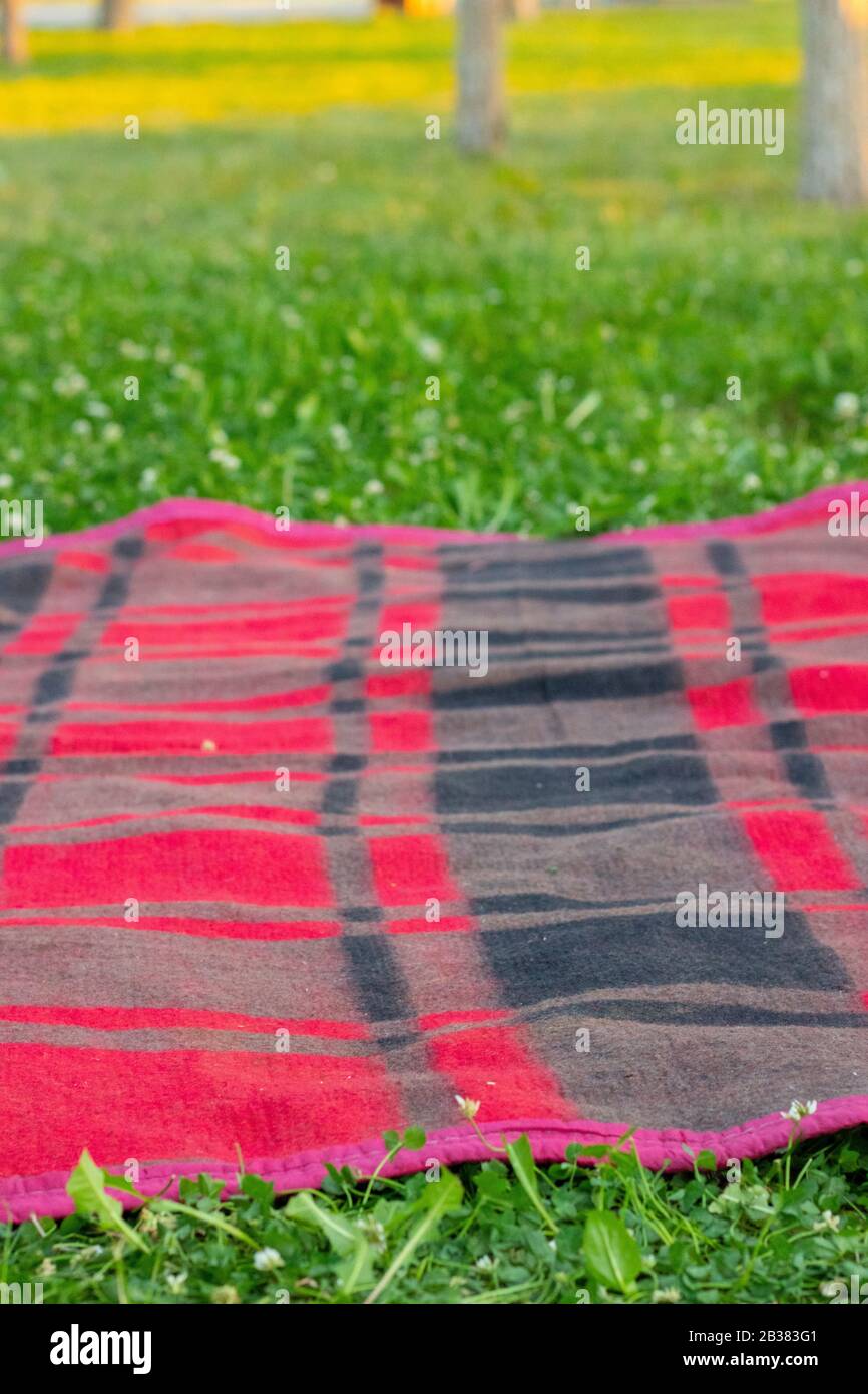 picnic beach mat