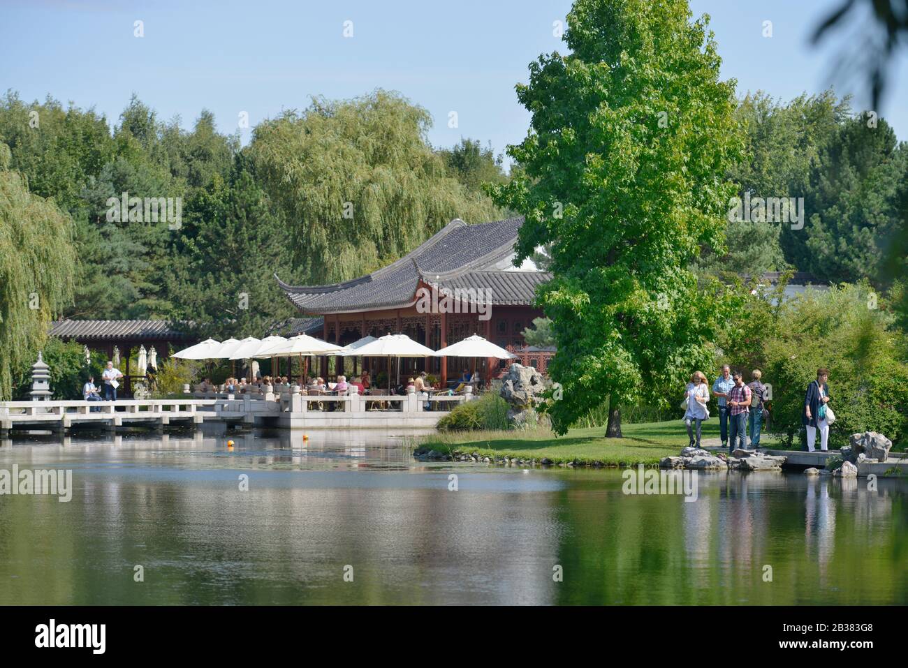 Chinesischer Garten, IGA, Marzahn, Berlin, Deutschland Stock Photo Alamy