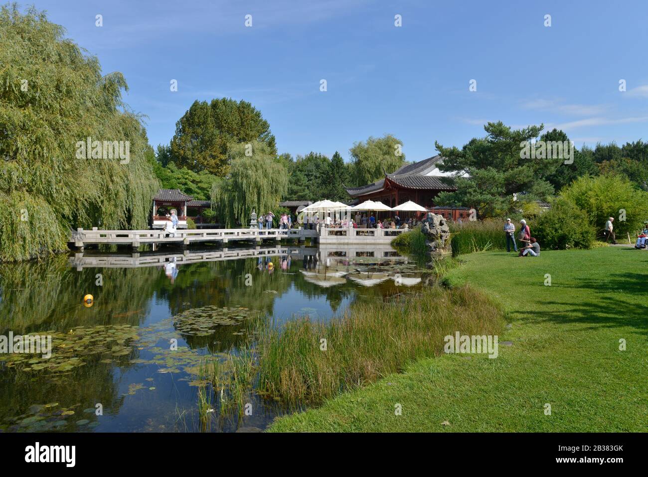 Chinesischer Garten, IGA, Marzahn, Berlin, Deutschland Stock Photo Alamy