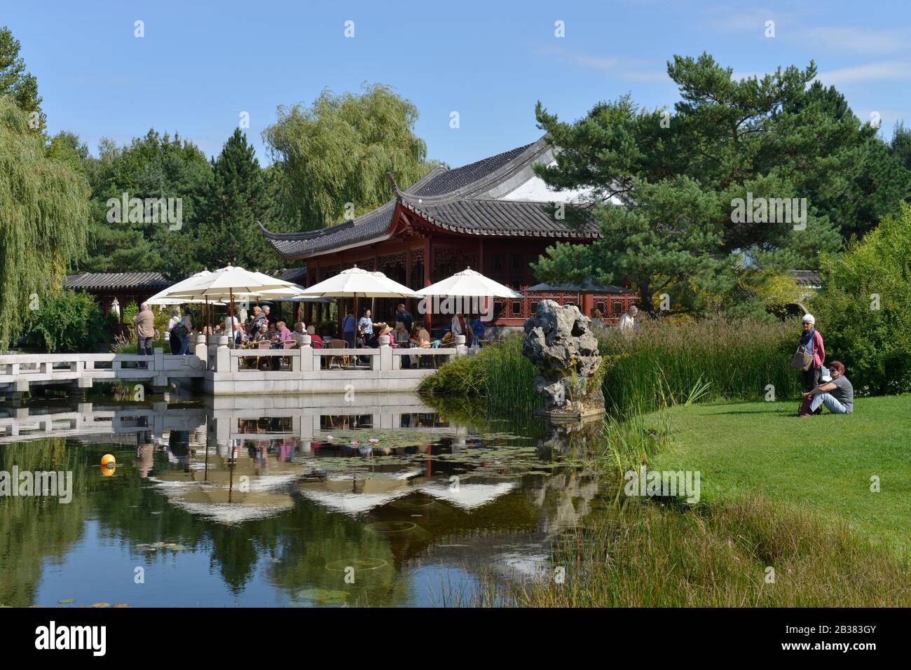 Chinesischer Garten, IGA, Marzahn, Berlin, Deutschland Stock Photo Alamy