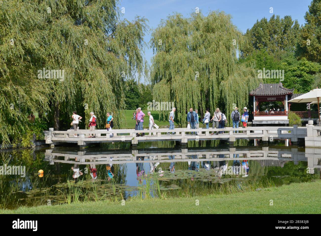 Chinesischer Garten, IGA, Marzahn, Berlin, Deutschland Stock Photo Alamy