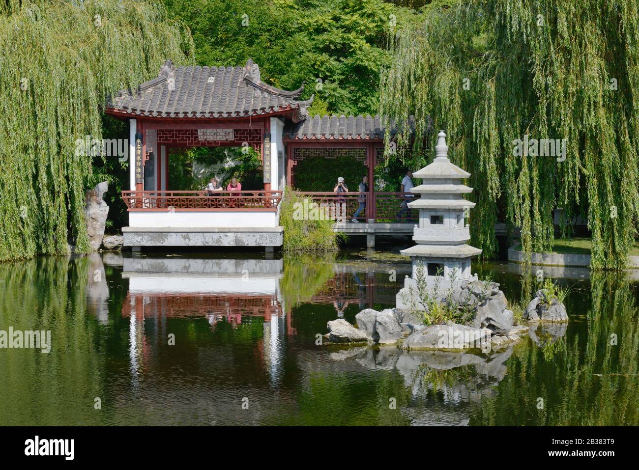 Chinesischer Garten, IGA, Marzahn, Berlin, Deutschland Stock Photo Alamy