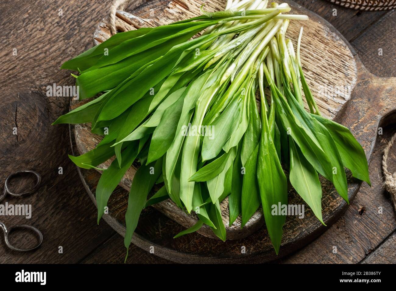 Fresh young wild garlic leaves on a rustic background Stock Photo
