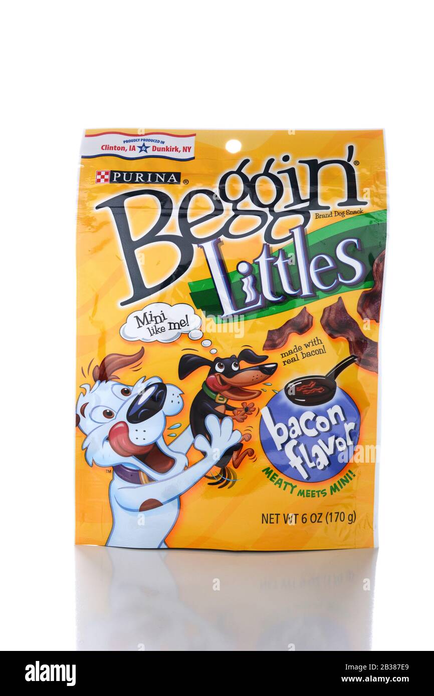 IRVINE, CA - JUNE 14, 2015: A package of Beggin Littles. The bacon flavored snacks are amde for small breed dogs by the Nestle Purina PetCare Company. Stock Photo