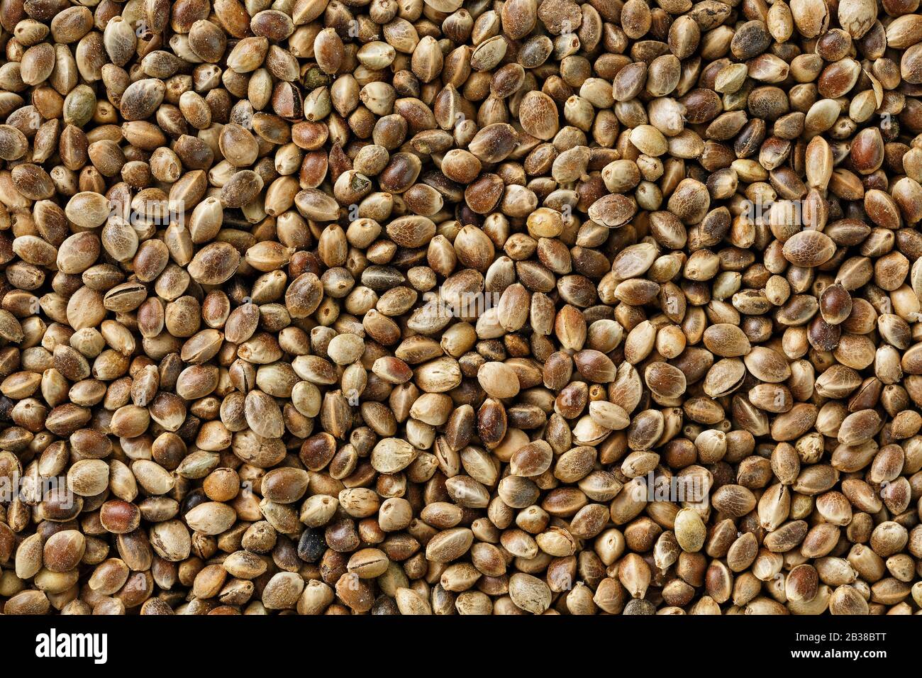 Oil bearing seeds hi-res stock photography and images - Alamy