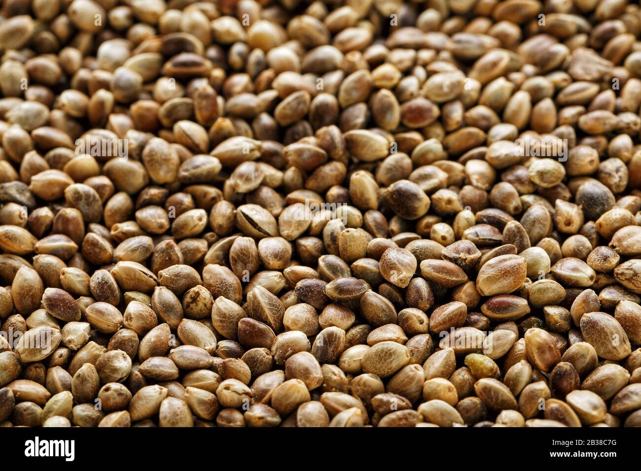 Oil bearing seeds hi-res stock photography and images - Alamy